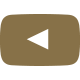 社会 youtube gold icon